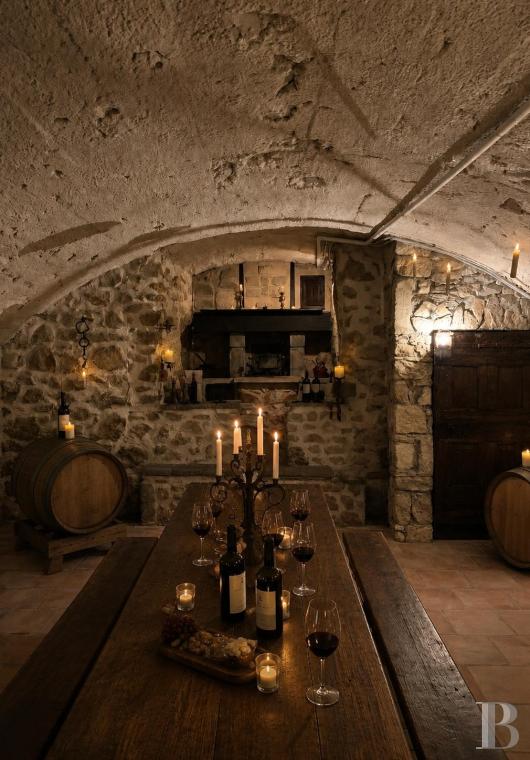 France mansions for sale rhones alps   - 14